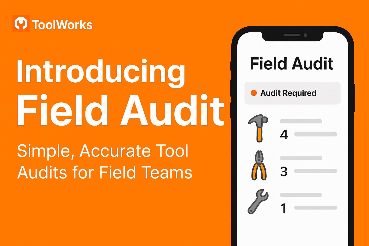 Field Audit